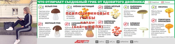 хмурый Абаза