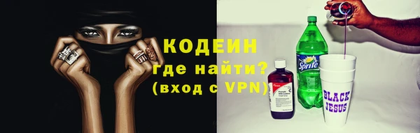 хмурый Абаза
