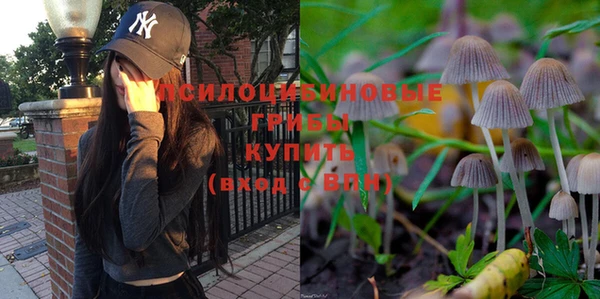 спиды Алексин