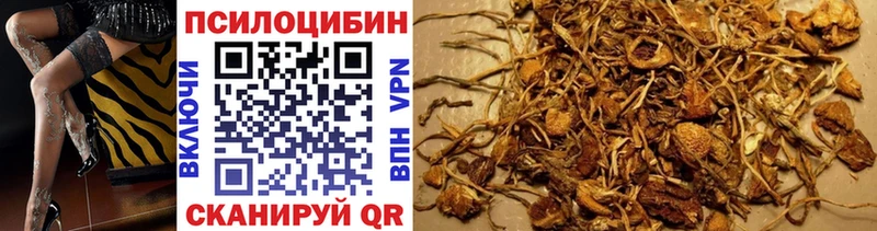 Галлюциногенные грибы Magic Shrooms  Циолковский 